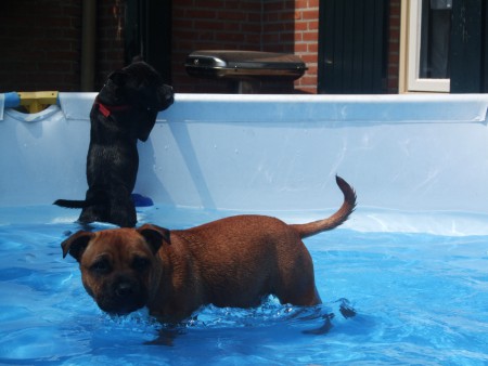 Lekker spelen in het water!